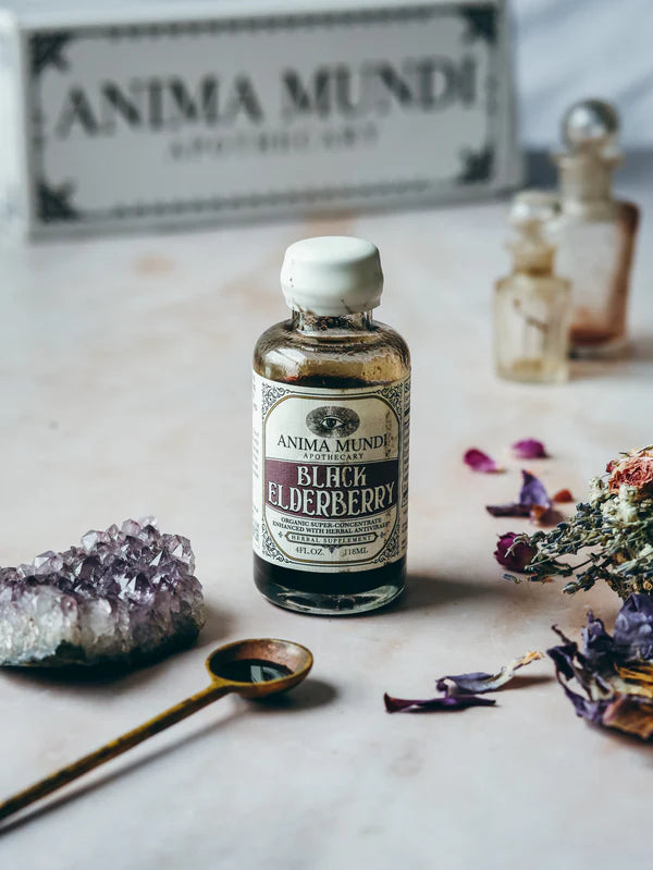 black elderberry elixir | organic antivirals