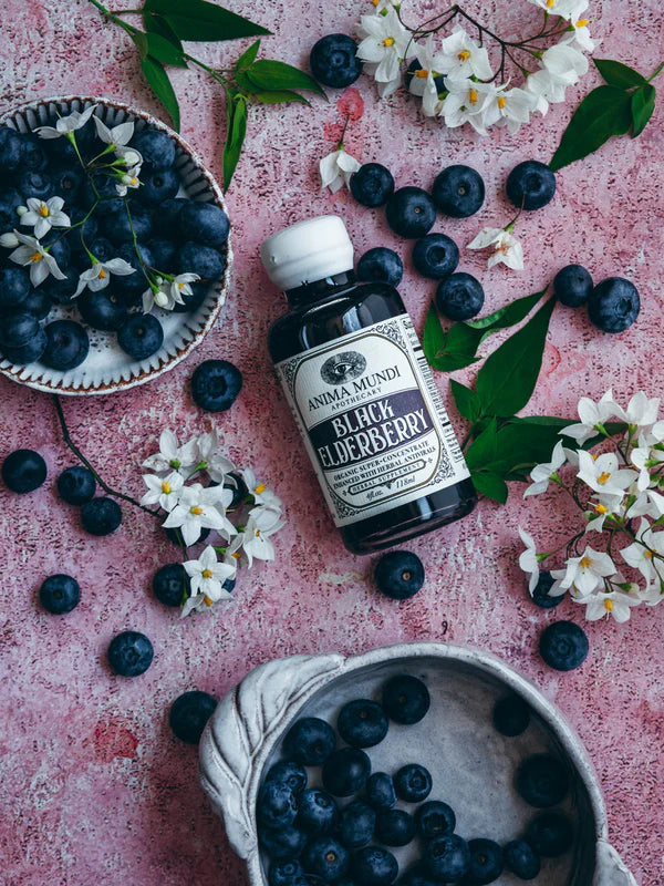 black elderberry elixir | organic antivirals