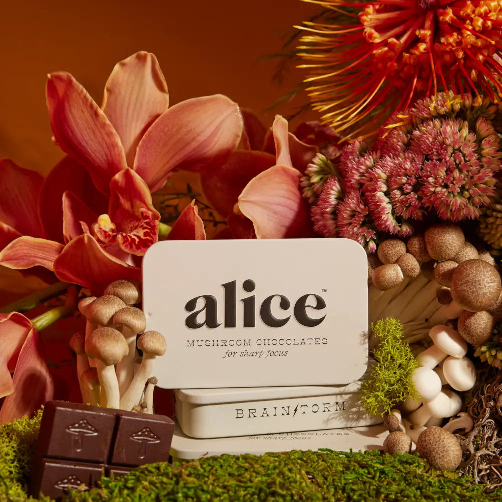 Alice Mushrooms- Brainstorm. Mushroom Chocolates for Focus
