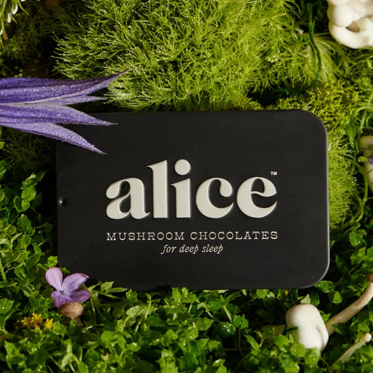 Alice Mushrooms- Nightcap.  Mushroom Chocolate for Sleep