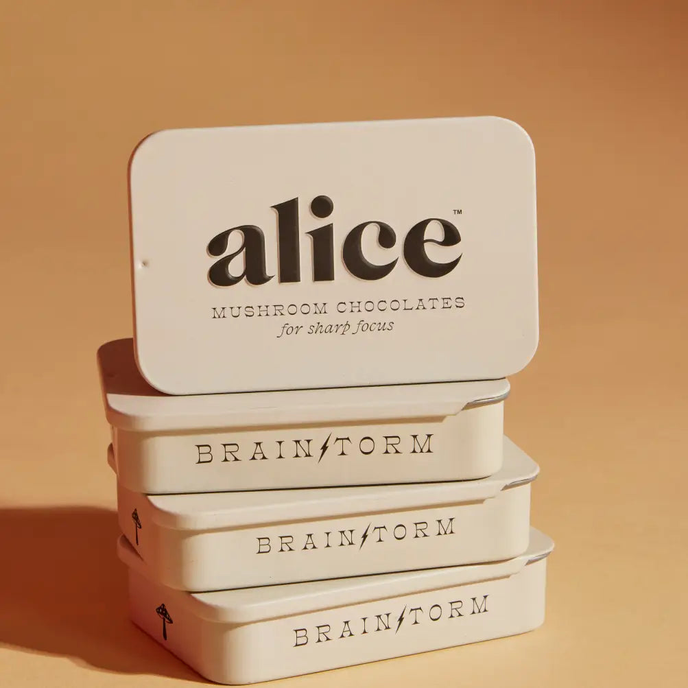 Alice Mushrooms- Brainstorm.  Mushroom Chocolates for Focus